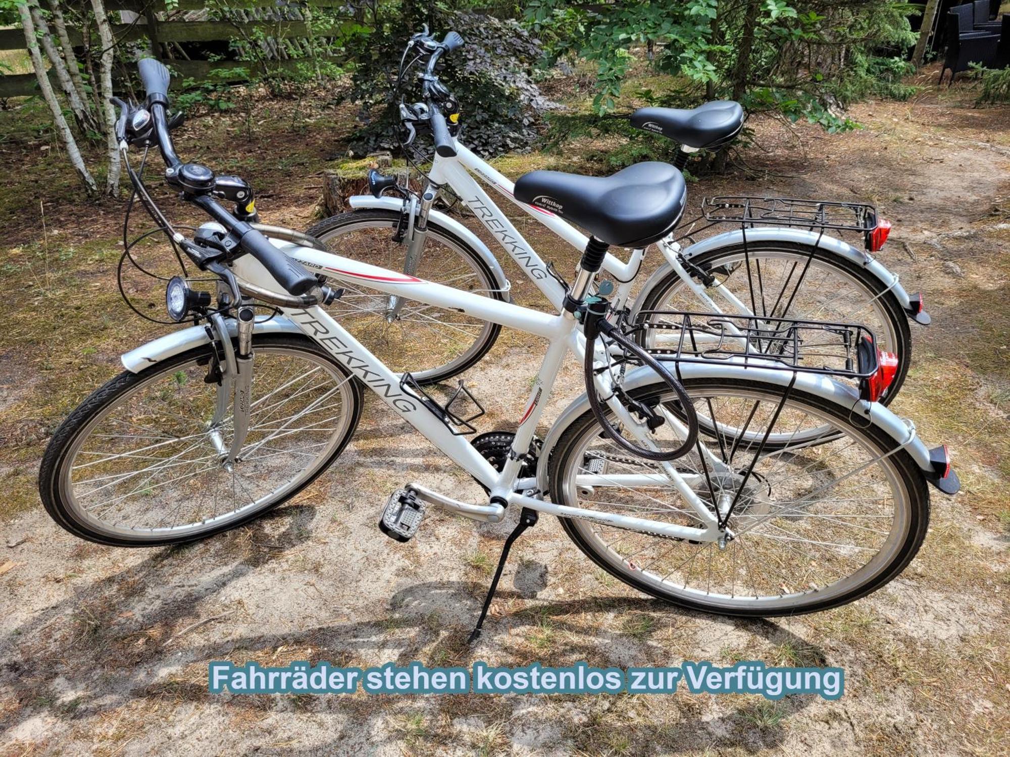 Hüttendorf für Euch alleine - geführter Yachtausflug nach Prieros inclusive! Groß Köris Exterior foto